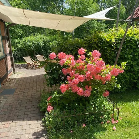 Grosszuegiges In Einem Kleinen Fachwerkhaus شقة Dömitz